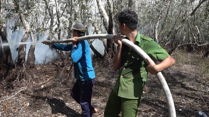 Cháy hơn 20 ha rừng tràm Vườn Quốc gia Tràm Chim