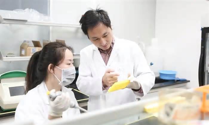 Nhà khoa học Trung Quốc gây tranh cãi với dự án y khoa đầy tham vọng