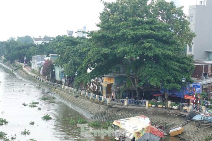 TPHCM đầu tư hơn 650 tỷ đồng gia cố kè Thanh Đa liên tục sạt lở