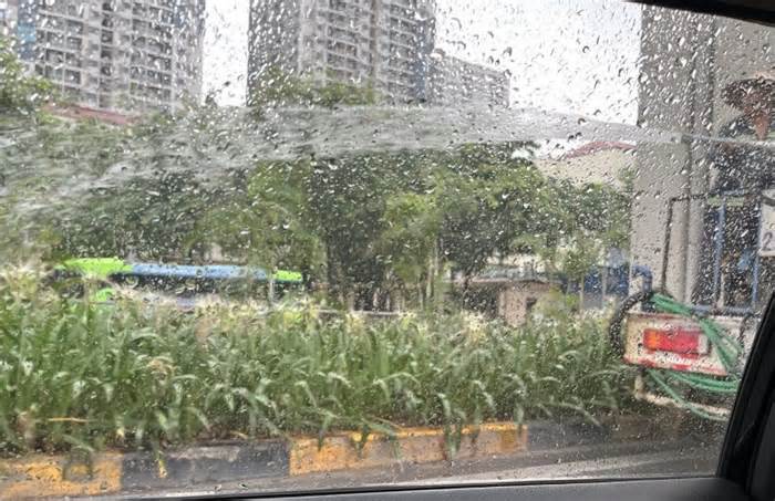 Hà Nội xác minh thông tin 'xe bồn tưới cây giữa trời mưa tầm tã'
