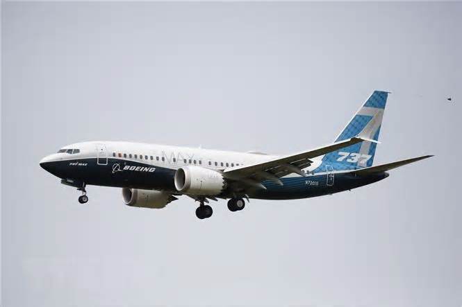 Gia đình nạn nhân vụ rơi máy bay Boeing 737 MAX theo đuổi vụ kiện