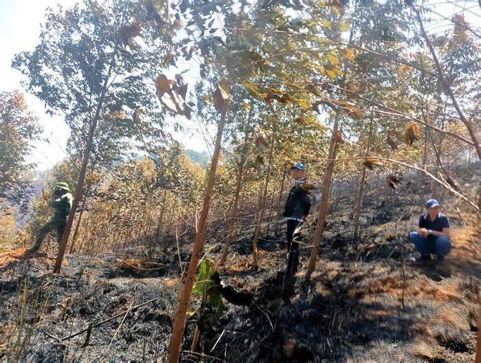 Chữa cháy rừng, hai nhân viên tử vong