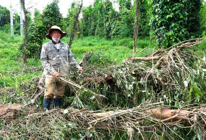 Xót xa cảnh hoa màu bị cuốn trôi do vỡ đập thủy điện