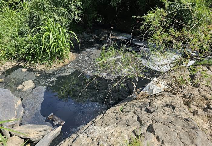 Công an điều tra vụ nước suối cạnh trại chăn nuôi heo ở Đắk Nông đen ngòm