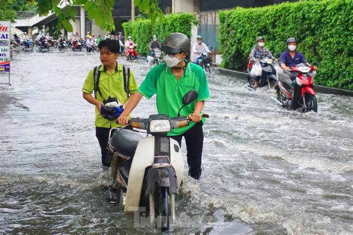 Nam Bộ đón Tết trong thời tiết rất bất lợi