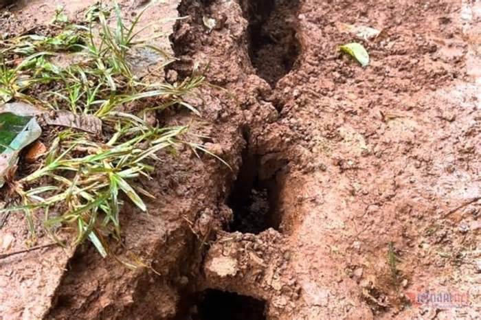 Chuyên gia cảnh báo về những vết nứt lạ ngày càng dài và rộng ở Đắk Nông