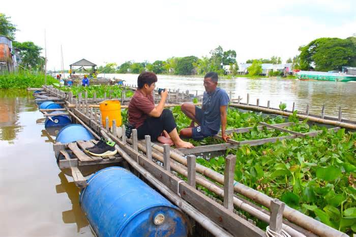 Trữ cua trên sông tìm sinh kế ở đầu nguồn vùng lũ ĐBSCL