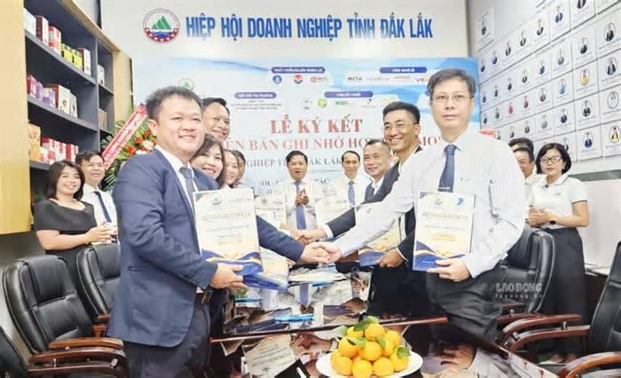 Doanh nghiệp Đắk Lắk tăng cường liên kết, tạo động lực phát triển