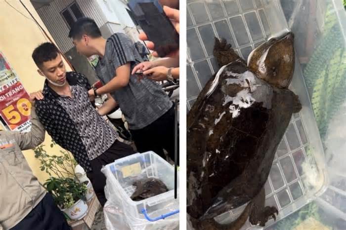 Khởi tố thanh niên bắt được rùa đầu to ở suối rồi đem bán ở Quảng Ninh