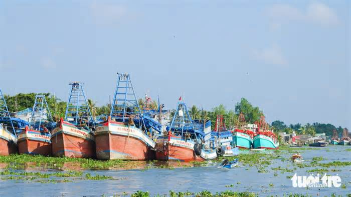 Kiên Giang có khoảng 5.311 tàu cá được cập nhật số liệu, định danh