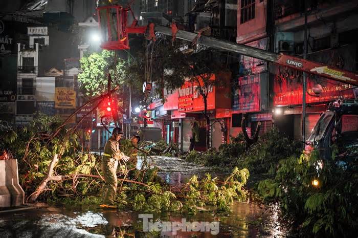 Hà Nội: Hơn 2.400 cây đổ, hàng nghìn ha lúa bị thiệt hại sau bão