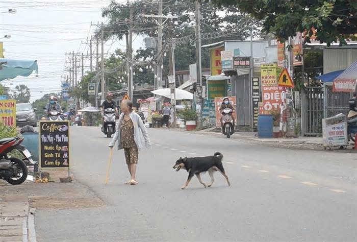 Ổ dịch chó dại ở Đồng Nai: Thả nổi quản lý, người dân hoang mang