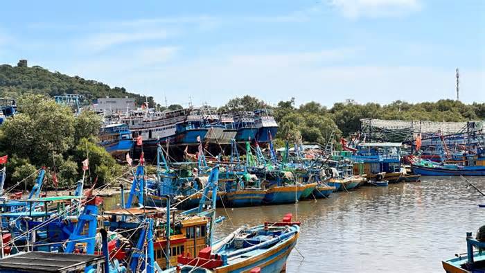 Ngư dân tu sửa tàu thuyền, kì vọng vào vụ cá bấc có sản lượng cao