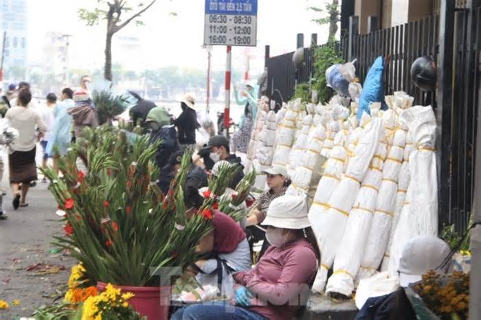 Người dân Đà Nẵng giải cứu hàng ngàn bó hoa lay ơn