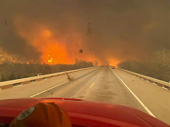 Cháy rừng lịch sử ở Texas, gần 4.000 gia súc bị thiêu chết