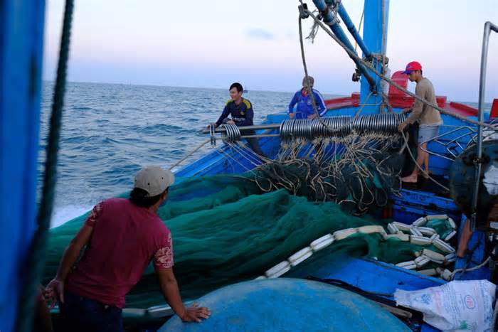 Quảng Ngãi đề xuất cấm đánh bắt có thời hạn 5 khu vực biển ven bờ