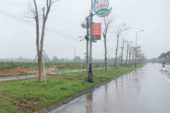Đề nghị báo cáo các dự án trồng cây xanh ở Hà Tĩnh theo yêu cầu của Bộ Công an