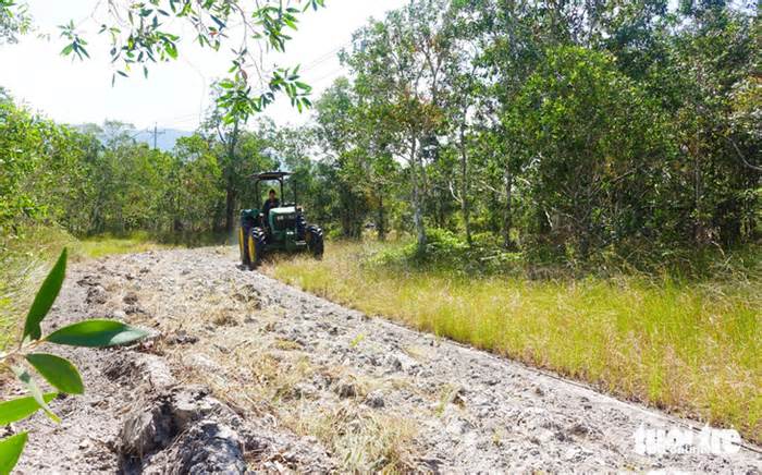 Hơn 40.000ha rừng có nguy cơ cháy cao, Kiên Giang làm gì để ứng phó?