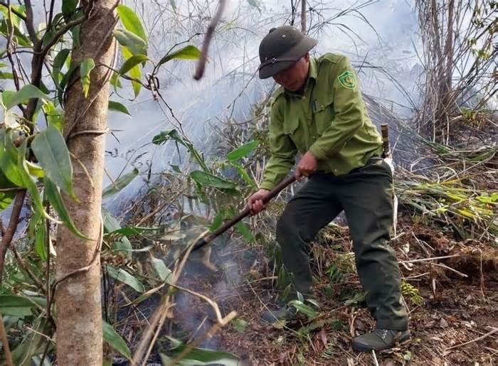 Yên Bái: Kịp thời dập tắt 3 vụ cháy rừng ở huyện Mù Cang Chải
