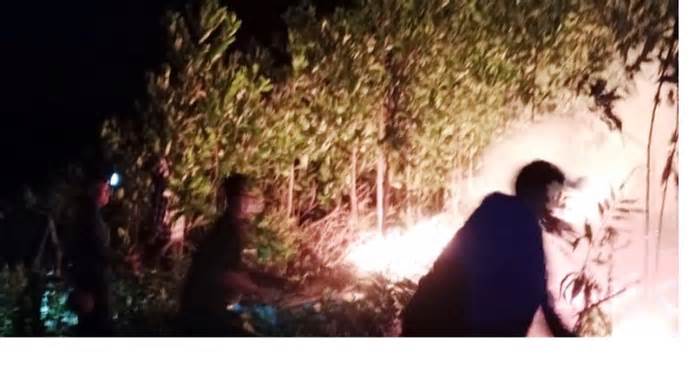 Cháy rừng ở Hà Tĩnh trong đêm, hàng trăm người tham gia dập lửa