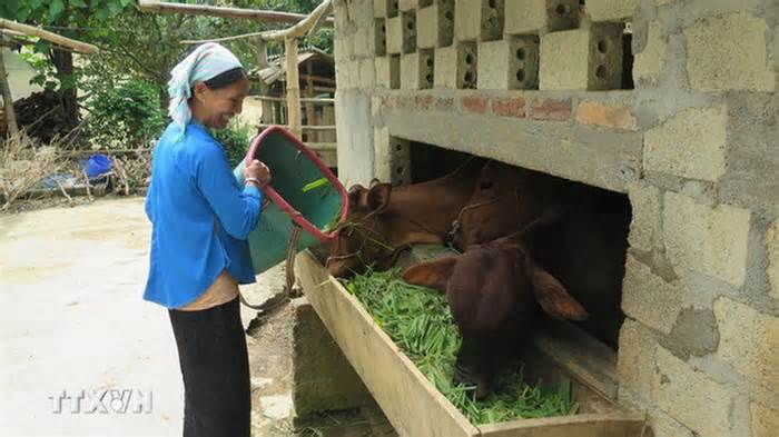 Điều chỉnh một số nội dung Chương trình phát triển KT-XH vùng dân tộc thiểu số