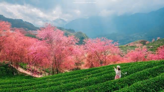 Du xuân văn minh và an toàn