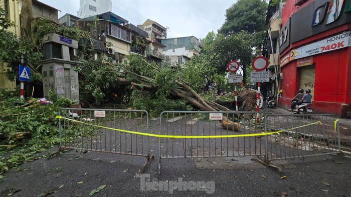 Đường phố Hà Nội vẫn ngổn ngang cây đổ, người dân chật vật tìm đường tới công sở