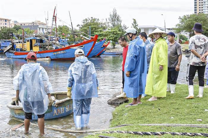 Ngư dân Đà Nẵng đánh bắt gần bờ, thu tiền triệu sau bão