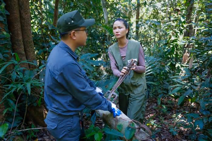 H’Hen Niê theo chân đội tuần tra rừng phòng hộ tháo gỡ bẫy động vật hoang dã