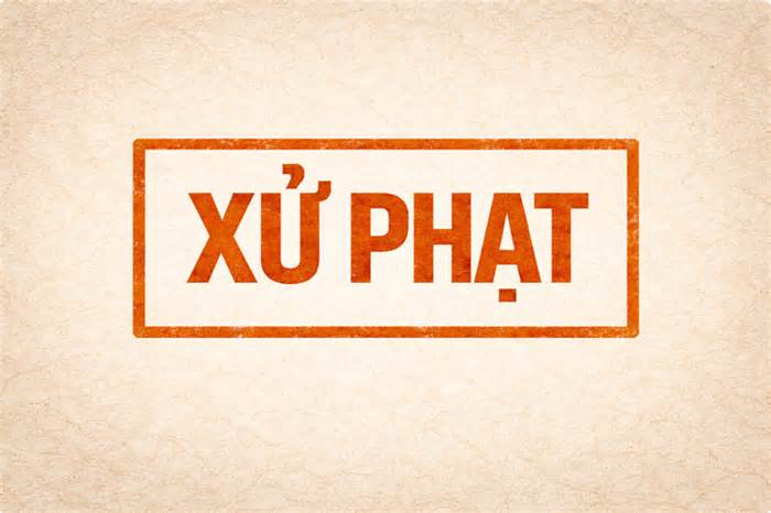 Lào Cai phạt Công ty Tư vấn xây dựng 289 vì báo cáo sai thực tế