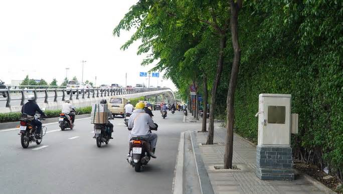 Hàng cây bị 'bức tử' trên đường vào sân bay Tân Sơn Nhất được giải cứu