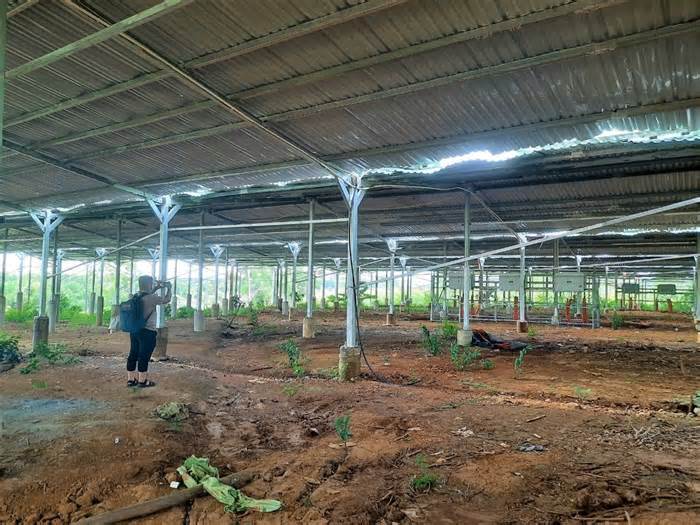 Quảng Nam điều tra dự án nông nghiệp trá hình để làm điện mặt trời