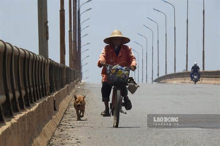 Cấm xe trên 29 chỗ, xe tải 3 trục trở lên qua cầu nối Phú Thọ - Hà Nội