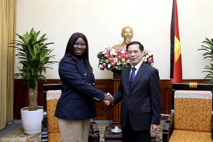 Quốc vụ khanh Bộ Ngoại giao Guinea-Bissau thăm Việt Nam và dự lễ viếng Tổng Bí thư Nguyễn Phú Trọng