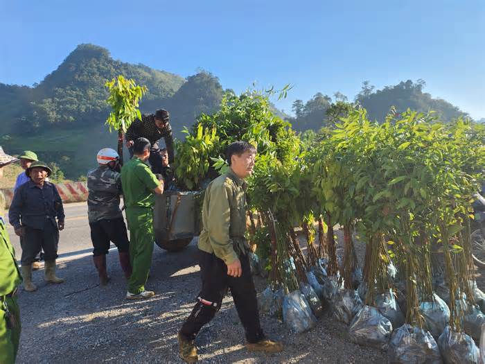 Chiến dịch 'góp lá vá rừng': Trồng thêm 12.000 cây cho vùng Tây Bắc