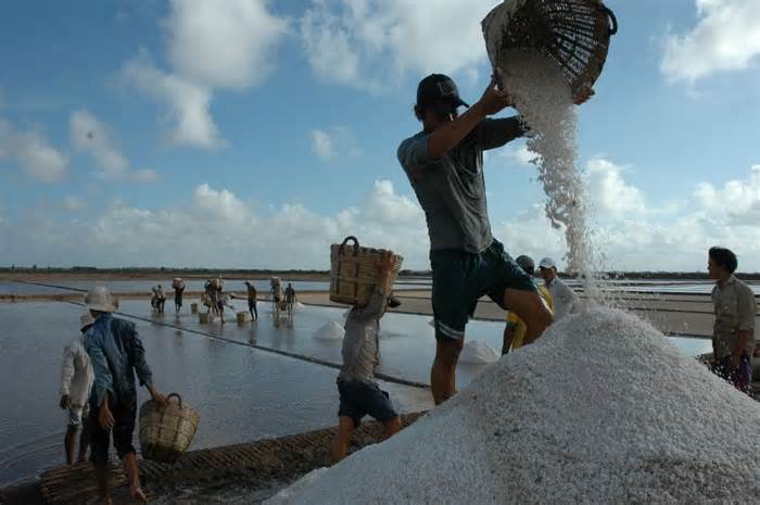 Diêm dân đồng muối lớn nhất nước sống bấp bênh khi giá muối lên xuống thất thường