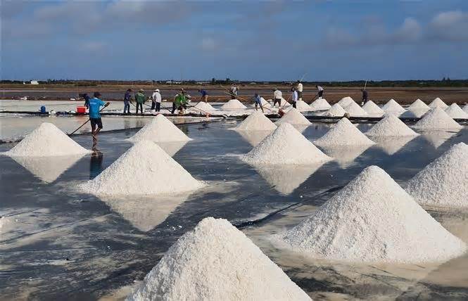Trăm năm vẫn giữ lửa nghề làm muối ở Bạc Liêu