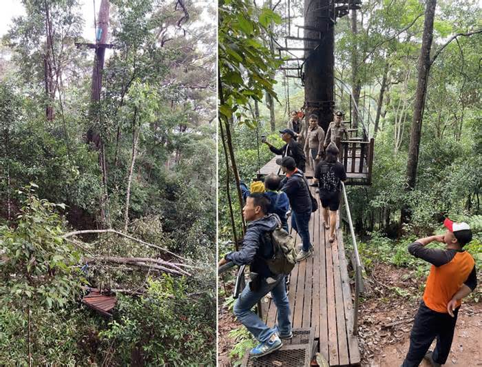 Đứt cáp treo zipline ở Thái Lan, một khách tử vong