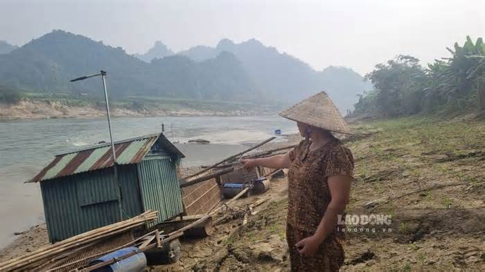 Nước sông Lô xuống thấp, dân lao đao vì cá lồng chết sạch