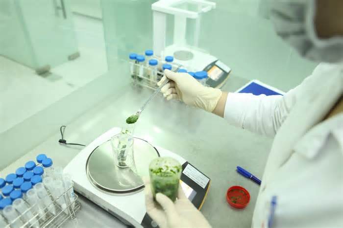 Danh sách 34 cơ sở được chỉ định kiểm nghiệm an toàn thực phẩm