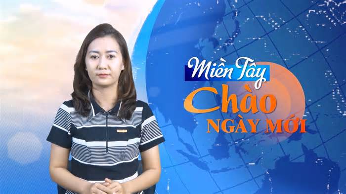 Miền Tây Chào Ngày Mới: Chưa rõ lý do lúa cạnh cao tốc nhiễm mặn chết hàng loạt