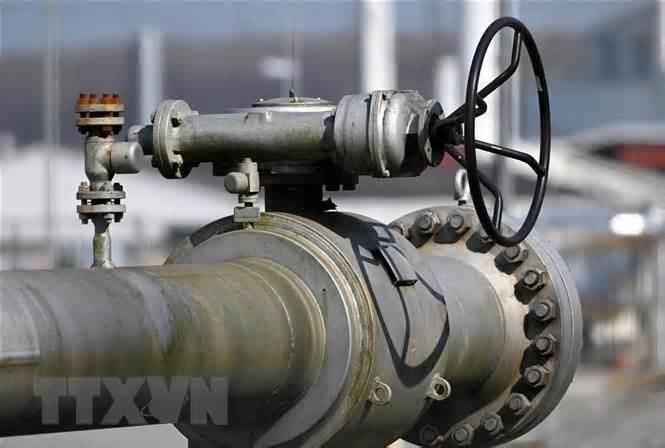 Tổng thống Putin khẳng định tiếp tục cung cấp khí đốt cho Moldova