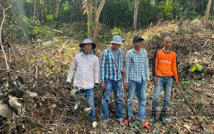 Bắt quả tang 4 đối tượng mang cưa, rựa đi chặt phá rừng Phú Quốc