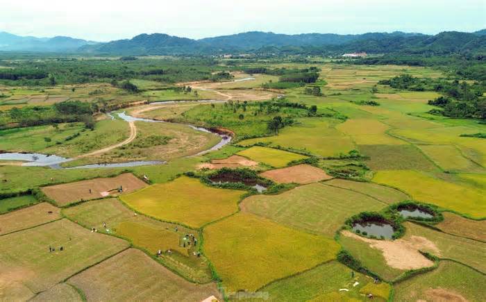 Rộn ràng ngày mùa nơi biên giới A Lưới