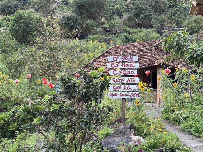 Bình Định: Hàng loạt điểm du lịch trái phép 'mọc' ngang nhiên trên đất rừng