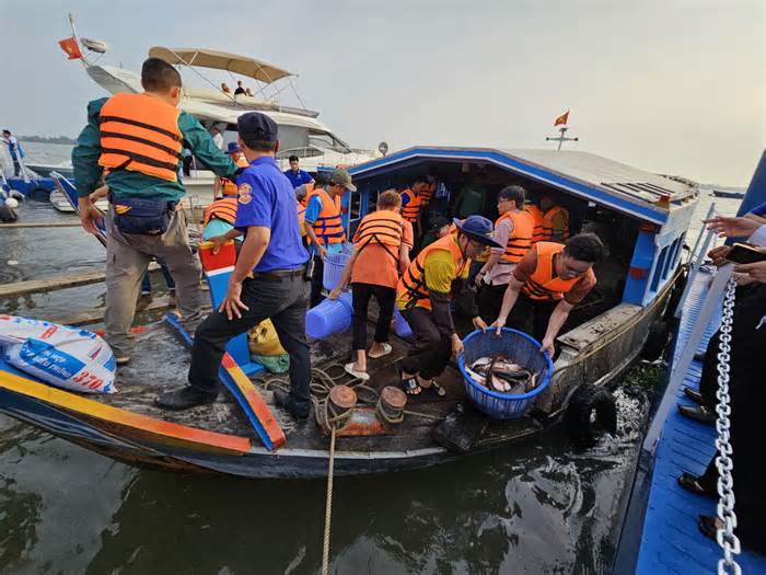 Cần Thơ: Phóng sinh 50 tấn cá tra ra sông Hậu