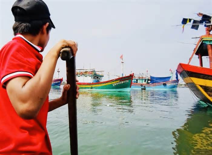 Quảng Bình đẩy mạnh các giải pháp chống khai thác hải sản bất hợp pháp