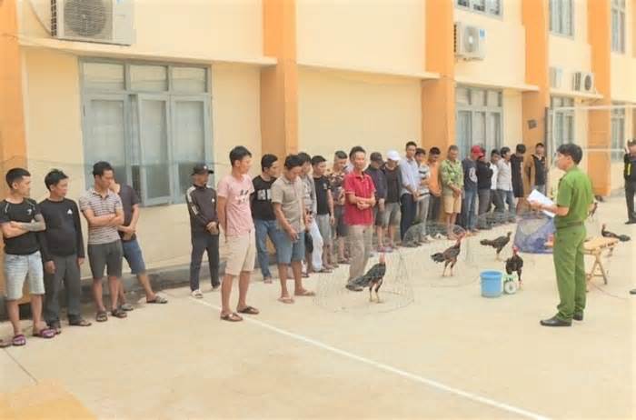 Triệt phá trường gà quy mô lớn ở Đắk Lắk, bắt giữ 34 'con bạc'