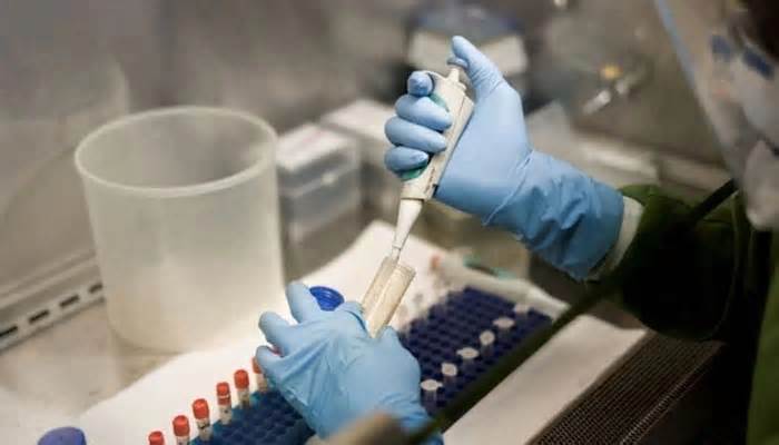 Phát hiện virus gây bệnh bại liệt trong mẫu xét nghiệm môi trường