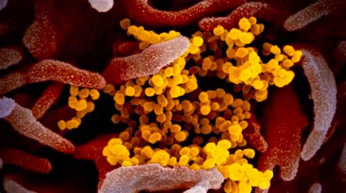 Bộ Y tế: 'Không chủ quan với biến thể COVID Ve sầu'